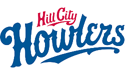 lynchburg city hillcats collaborative health sports medicine support